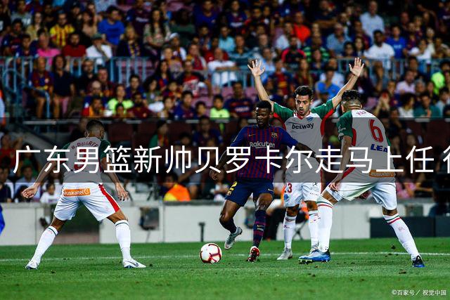 广东男篮新帅贝罗卡尔走马上任 徐杰公益行获赞 萨姆纳续约稳军心
