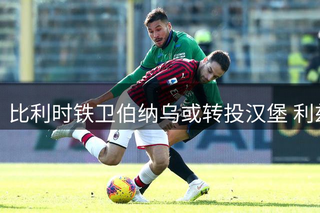比利时铁卫伯纳乌或转投汉堡 利兹联设离队前提