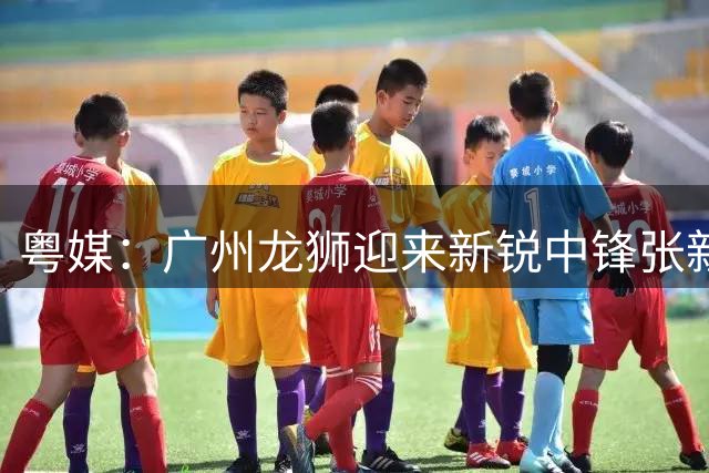 粤媒：广州龙狮迎来新锐中锋张新宇 阵容实力获提升