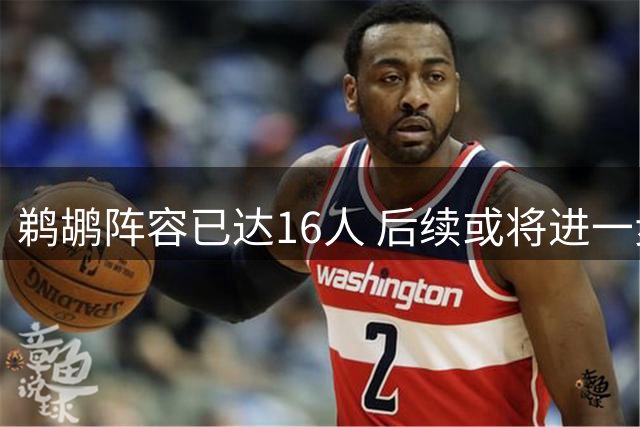 鹈鹕阵容已达16人 后续或将进一步优化调整